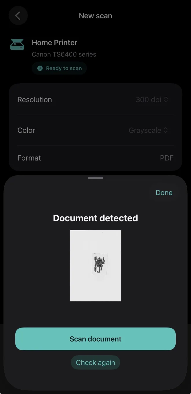A Document detected sheet with a small preview of the page on the glass and Scan document and Check again buttons.