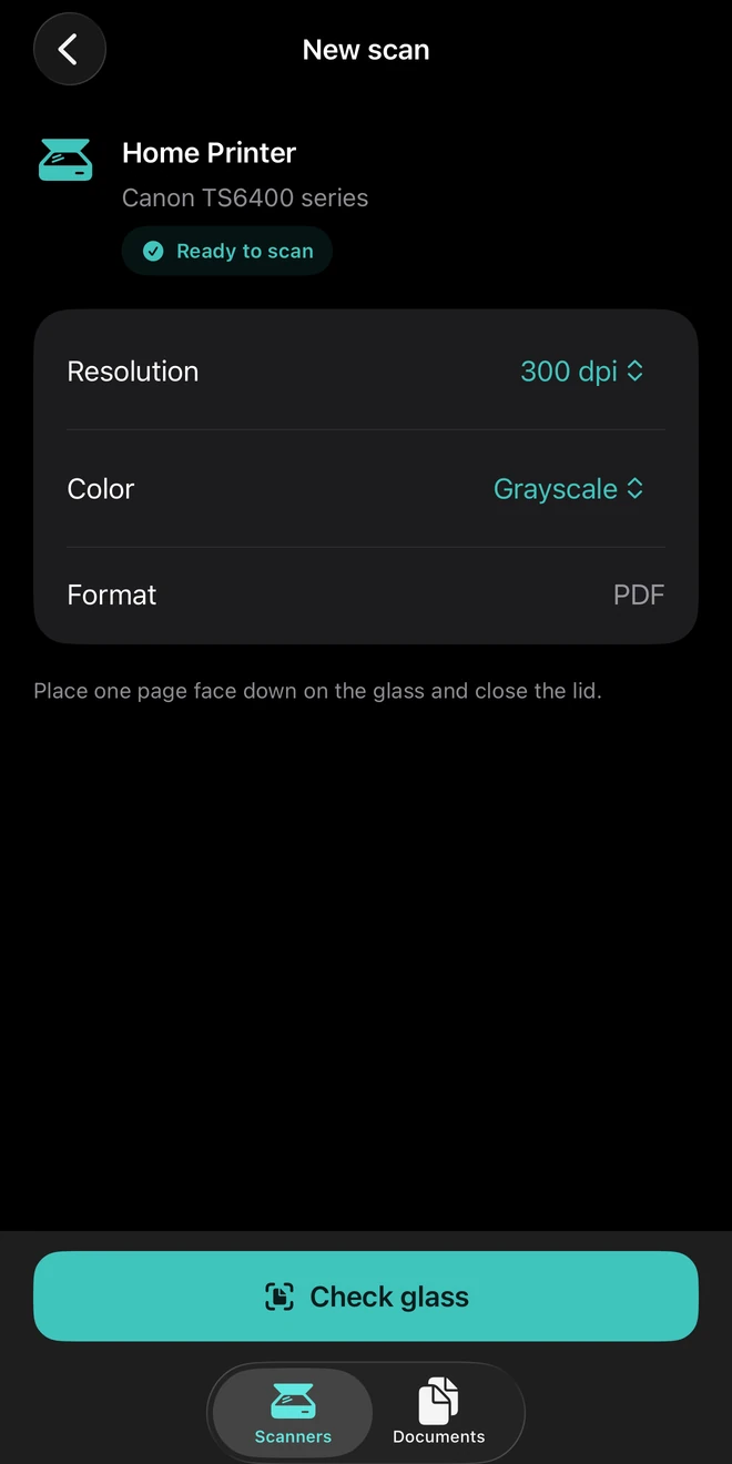 A new scan with a ready scanner, 300 dpi resolution, grayscale, and PDF output.